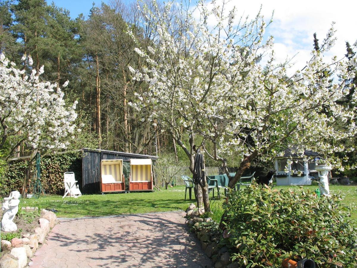Uni - Luebeck Appartement Groß Grönau Zewnętrze zdjęcie